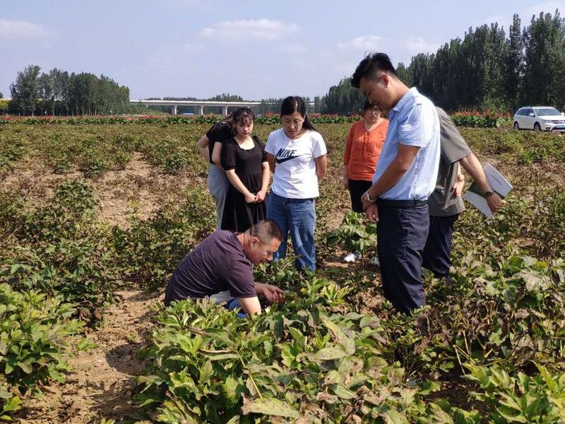 20200911濰坊客戶來基地考察